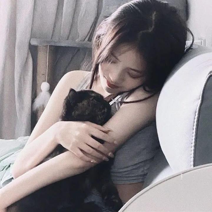甜梦猫