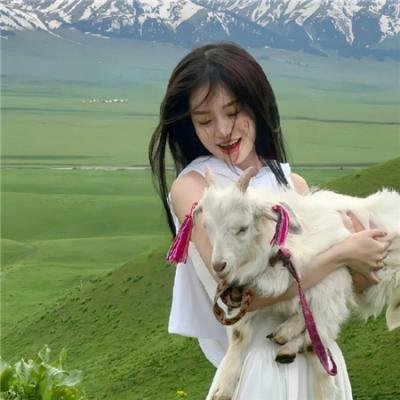 金装律师第二季